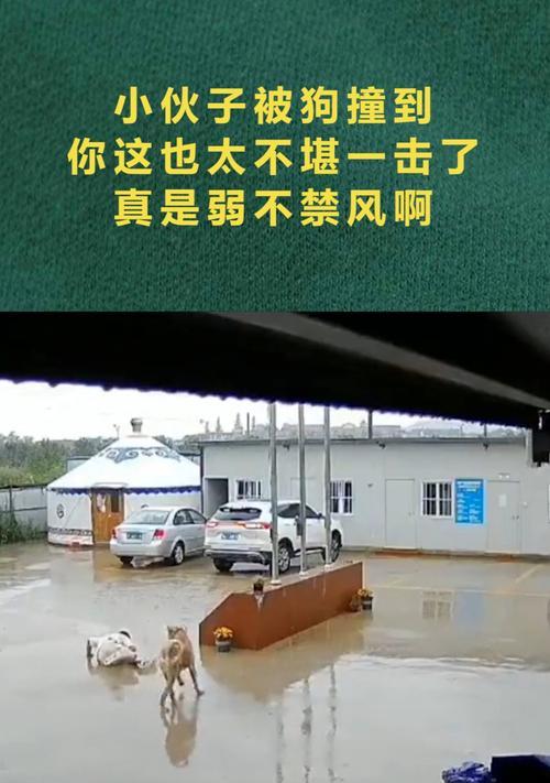 揭露谎言，不堪一击的真相（揭开真相，让欺骗无所遁形）