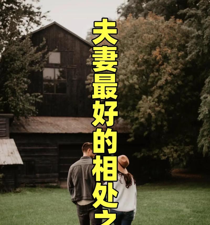 夫妻相处之道（从互相尊重到处理分歧，让你的婚姻更美满）