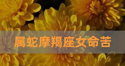 如何挽回属蛇的摩羯座男生？（掌握情感攻略，成功挽回爱情）