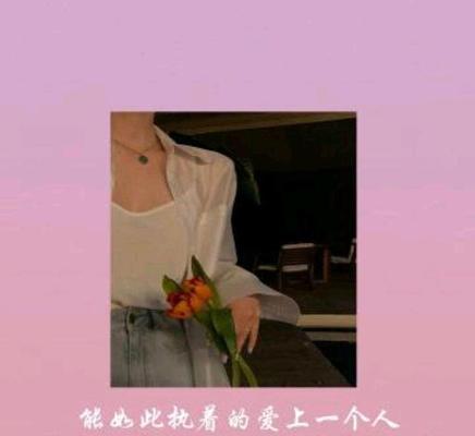 挽回爱情的艺术（用真心和努力拯救失落的感情）