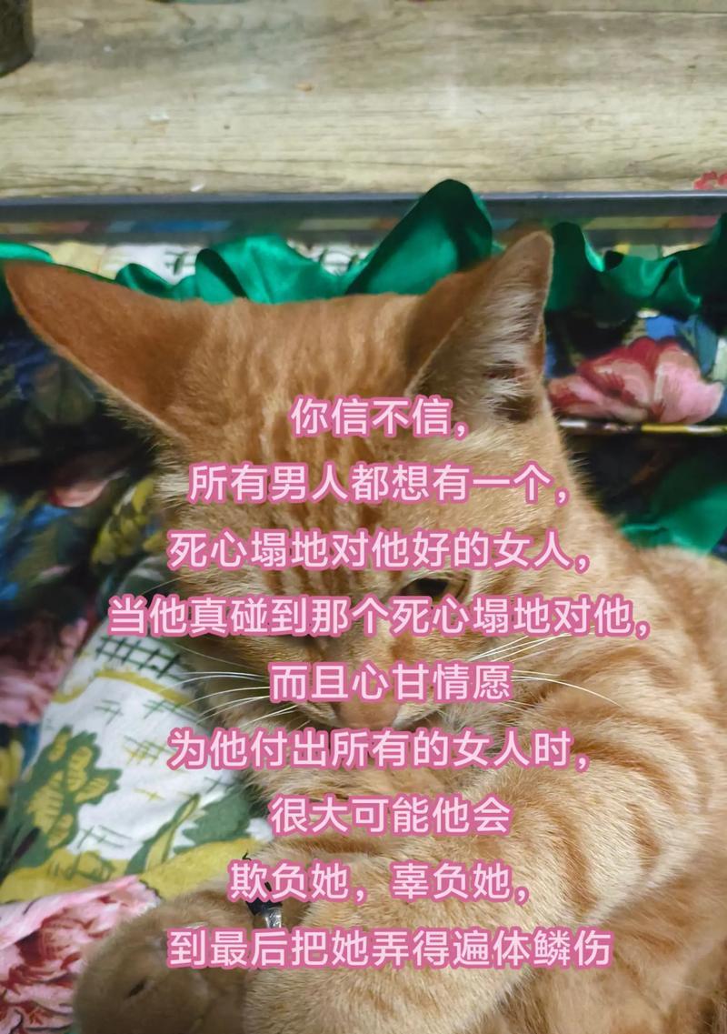 让男人“死心塌地”喜欢你的秘密（掌握这四句话，让爱情更甜蜜）